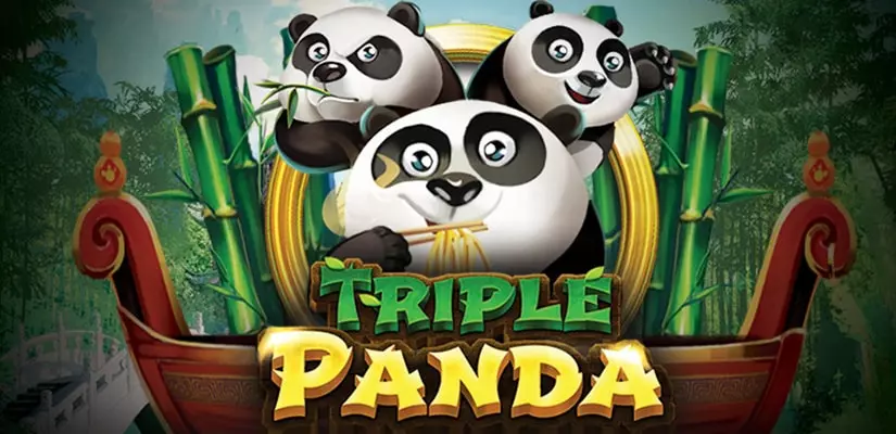Trio Panda